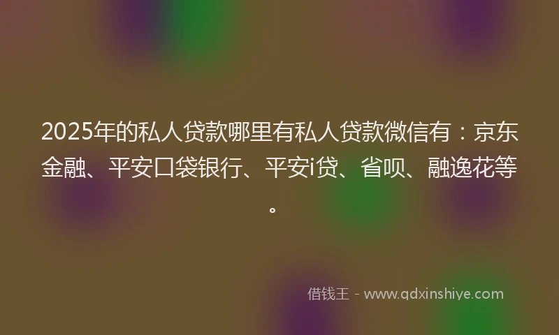 2025年的私人贷款哪里有私人贷款微信有：京东金融、平安口袋银行、平安i贷、省呗、融逸花等。