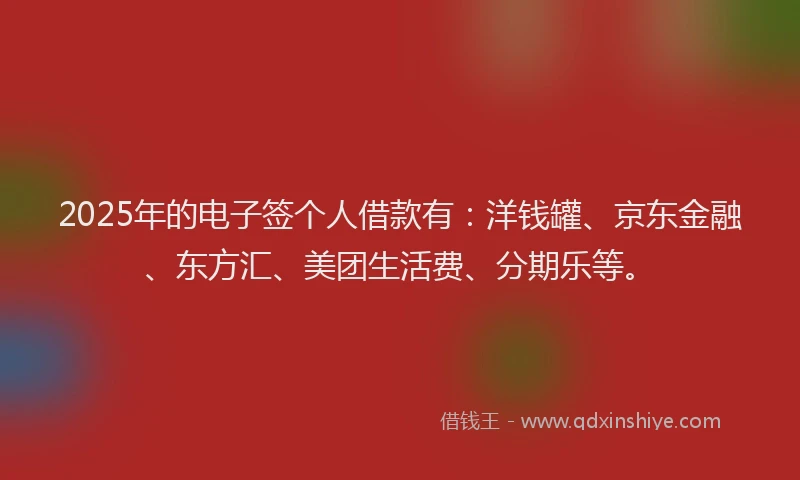 2025年的电子签个人借款有：洋钱罐、京东金融、东方汇、美团生活费、分期乐等。