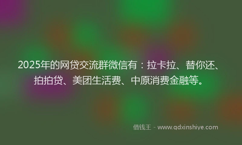 2025年的网贷交流群微信有：拉卡拉、替你还、拍拍贷、美团生活费、中原消费金融等。