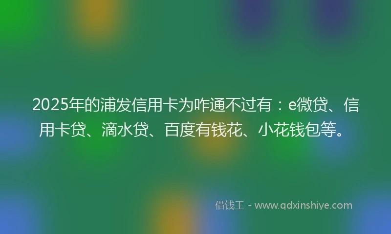 2025年的浦发信用卡为咋通不过有:e微贷、信用卡贷、滴水贷、百度有钱花、小花钱包等。