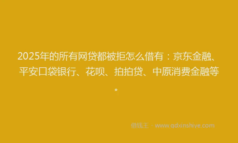 2025年的所有网贷都被拒怎么借有：京东金融、平安口袋银行、花呗、拍拍贷、中原消费金融等。