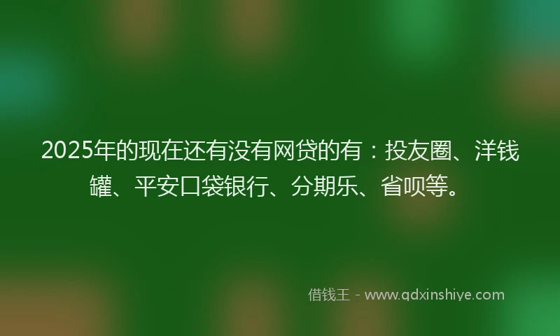 2025年的现在还有没有网贷的有：投友圈、洋钱罐、平安口袋银行、分期乐、省呗等。