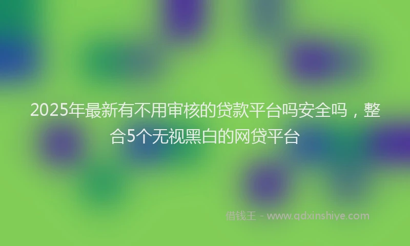 2025年最新有不用审核的贷款平台吗安全吗,整合5个无视黑白的网贷平台