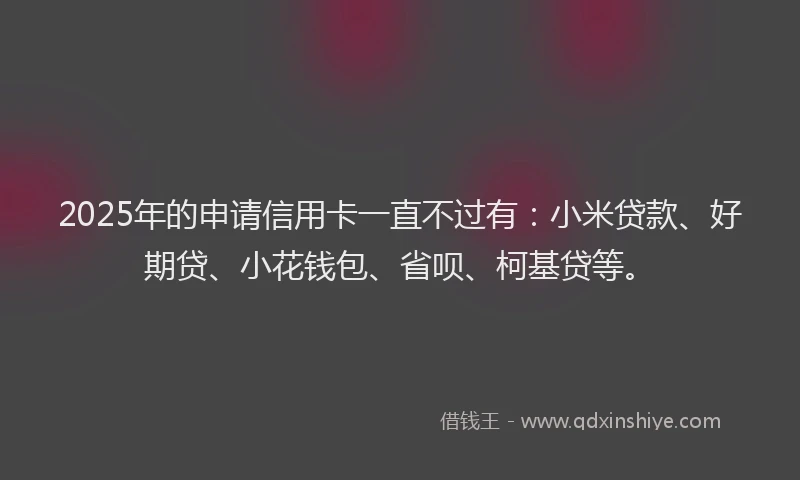 2025年的申请信用卡一直不过有：小米贷款、好期贷、小花钱包、省呗、柯基贷等。