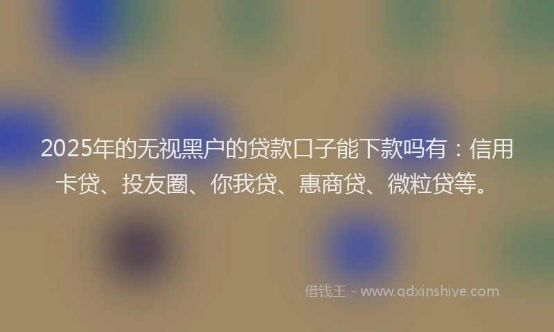2025年的无视黑户的贷款口子能下款吗有：信用卡贷、投友圈、你我贷、惠商贷、微粒贷等。