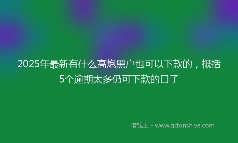 2025年最新有什么高炮黑户也可以下款的，概括5个逾期太多仍可下款的口子