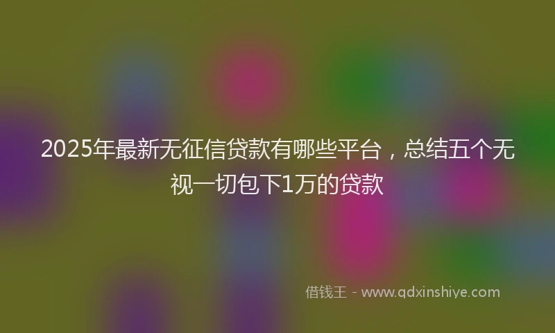 2025年最新无征信贷款有哪些平台，总结五个无视一切包下1万的贷款