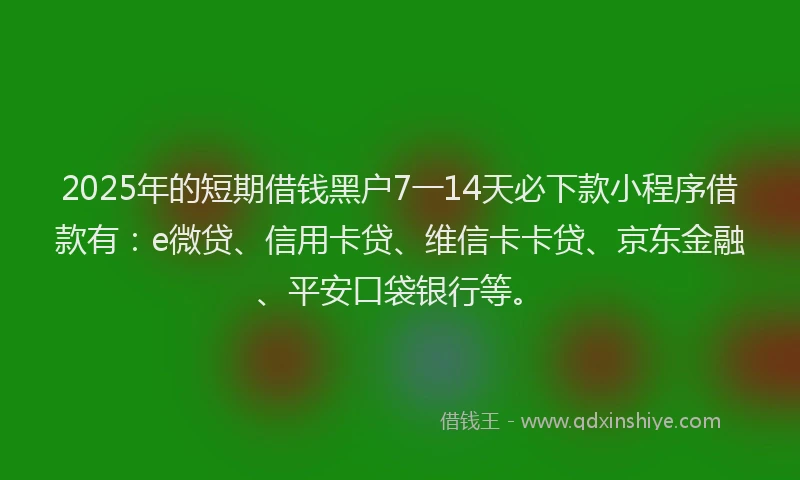 2025年的短期借钱黑户7一14天必下款小程序借款有：e微贷、信用卡贷、维信卡卡贷、京东金融、平安口袋银行等。