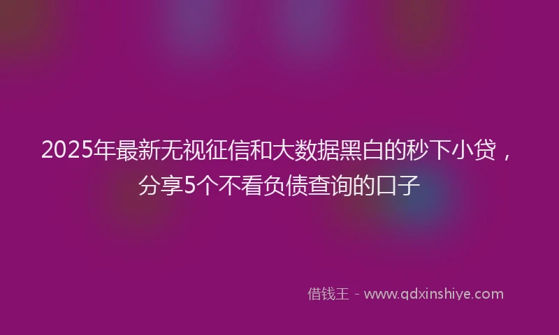 2025年最新无视征信和大数据黑白的秒下小贷，分享5个不看负债查询的口子