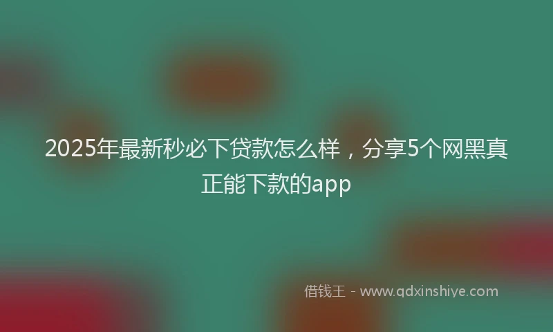 2025年最新秒必下贷款怎么样，分享5个网黑真正能下款的app