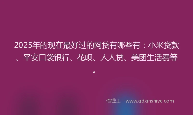 2025年的现在最好过的网贷有哪些有：小米贷款、平安口袋银行、花呗、人人贷、美团生活费等。