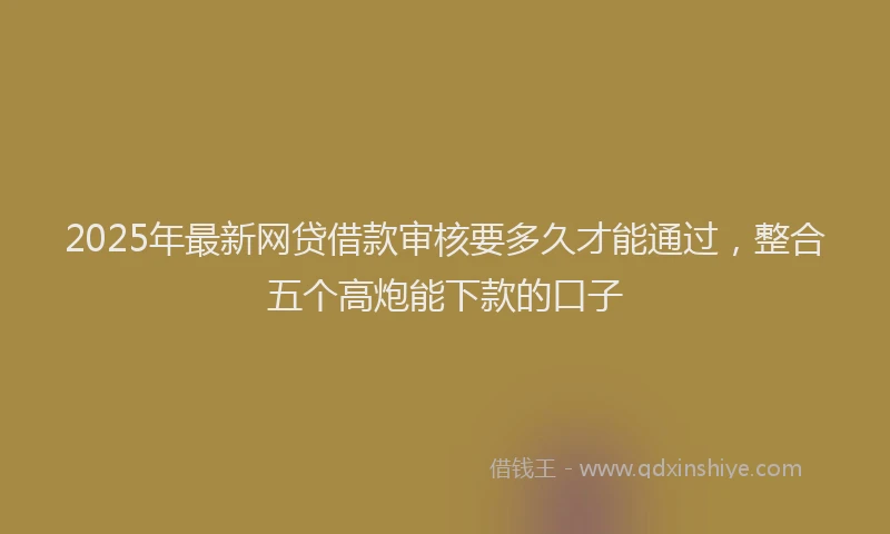 2025年最新网贷借款审核要多久才能通过，整合五个高炮能下款的口子