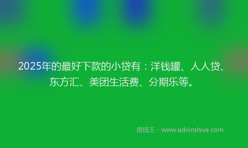 2025年的最好下款的小贷有：洋钱罐、人人贷、东方汇、美团生活费、分期乐等。