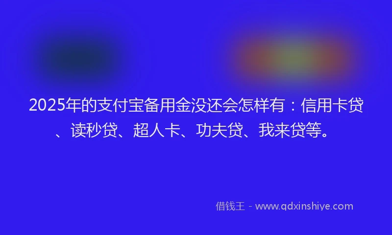2025年的支付宝备用金没还会怎样有：信用卡贷、读秒贷、超人卡、功夫贷、我来贷等。