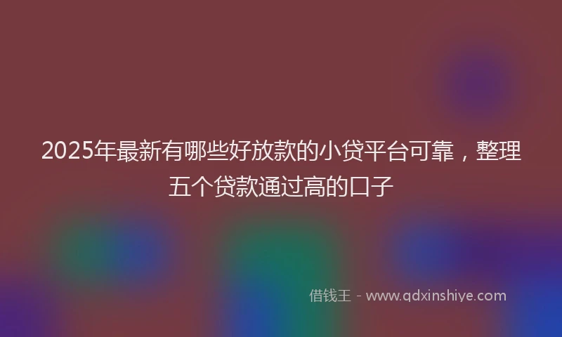 2025年最新有哪些好放款的小贷平台可靠，整理五个贷款通过高的口子