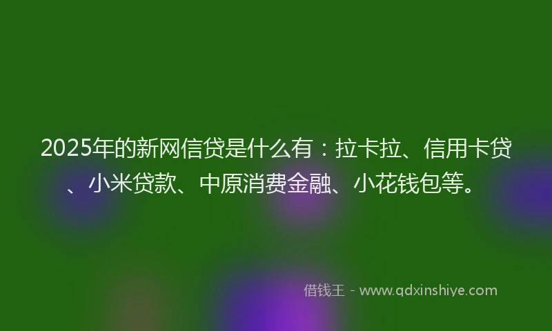 2025年的新网信贷是什么有：拉卡拉、信用卡贷、小米贷款、中原消费金融、小花钱包等。