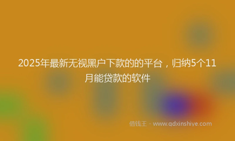 2025年最新无视黑户下款的的平台，归纳5个11月能贷款的软件
