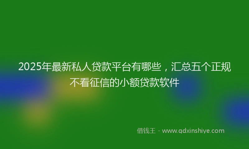 2025年最新私人贷款平台有哪些，汇总五个正规不看征信的小额贷款软件