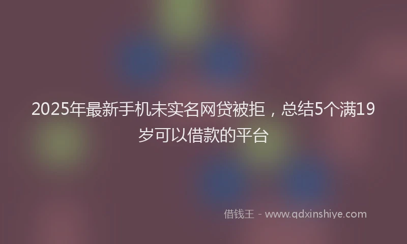 2025年最新手机未实名网贷被拒，总结5个满19岁可以借款的平台