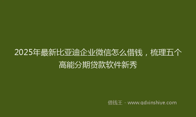 2025年最新比亚迪企业微信怎么借钱，梳理五个高能分期贷款软件新秀