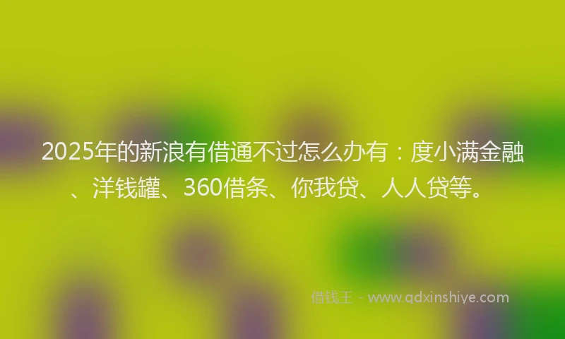 2025年的新浪有借通不过怎么办有：度小满金融、洋钱罐、360借条、你我贷、人人贷等。