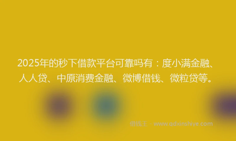 2025年的秒下借款平台可靠吗有：度小满金融、人人贷、中原消费金融、微博借钱、微粒贷等。