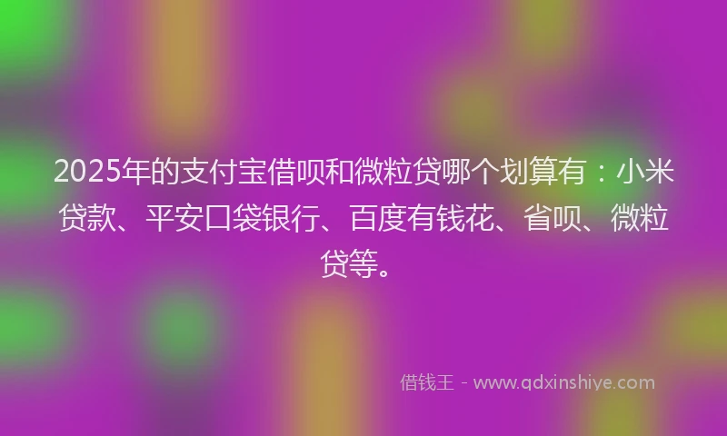 2025年的支付宝借呗和微粒贷哪个划算有：小米贷款、平安口袋银行、百度有钱花、省呗、微粒贷等。