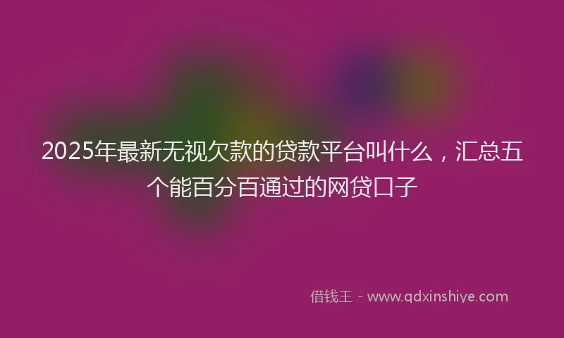 2025年最新无视欠款的贷款平台叫什么，汇总五个能百分百通过的网贷口子