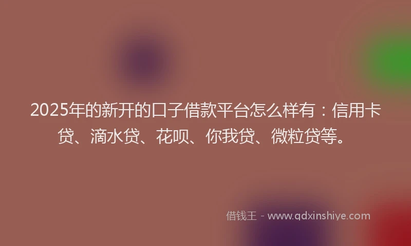 2025年的新开的口子借款平台怎么样有：信用卡贷、滴水贷、花呗、你我贷、微粒贷等。