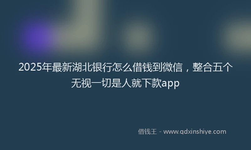 2025年最新湖北银行怎么借钱到微信，整合五个无视一切是人就下款app