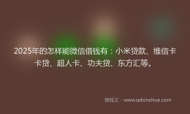2025年的怎样能微信借钱有：小米贷款、维信卡卡贷、超人卡、功夫贷、东方汇等。