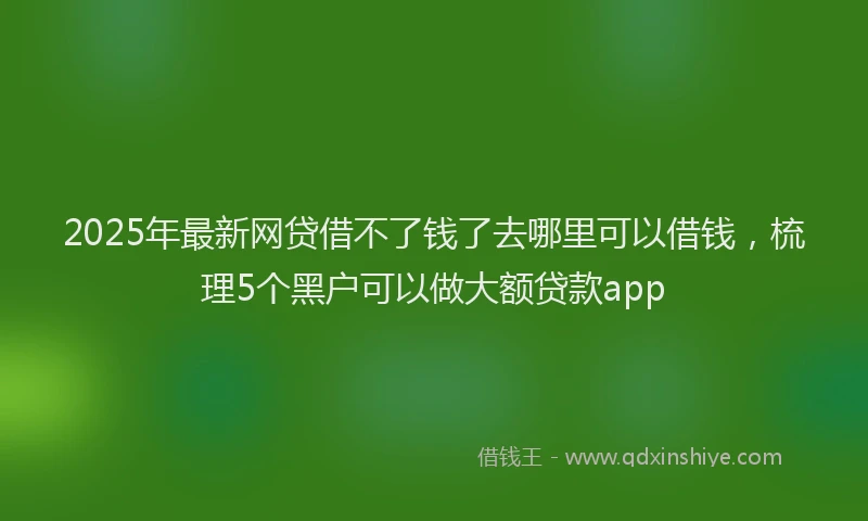 2025年最新网贷借不了钱了去哪里可以借钱，梳理5个黑户可以做大额贷款app