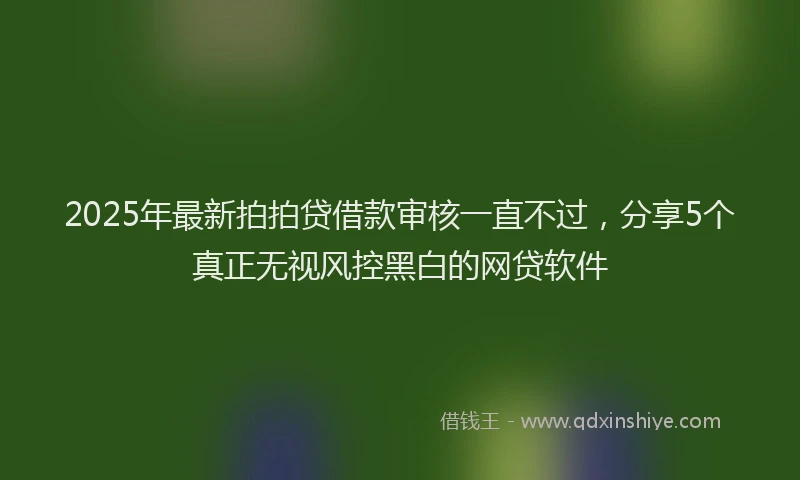2025年最新拍拍贷借款审核一直不过，分享5个真正无视风控黑白的网贷软件