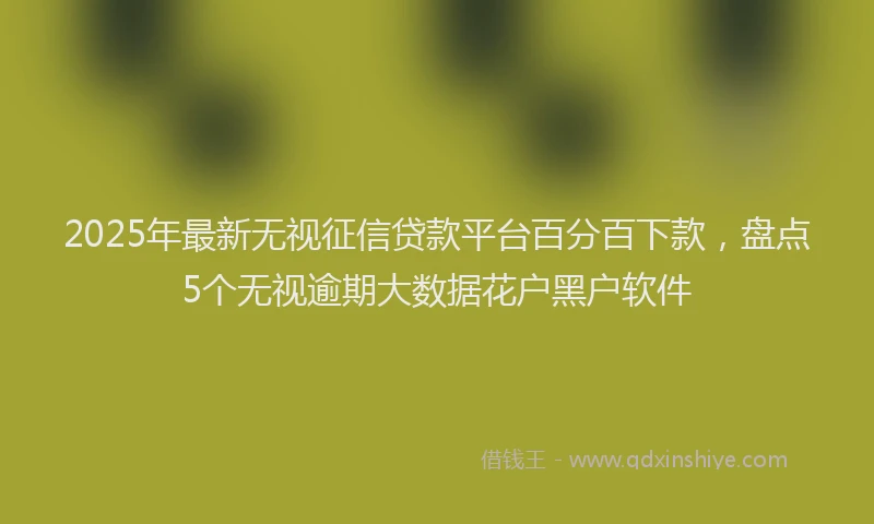 2025年最新无视征信贷款平台百分百下款，盘点5个无视逾期大数据花户黑户软件
