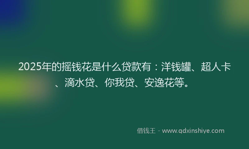 2025年的摇钱花是什么贷款有：洋钱罐、超人卡、滴水贷、你我贷、安逸花等。