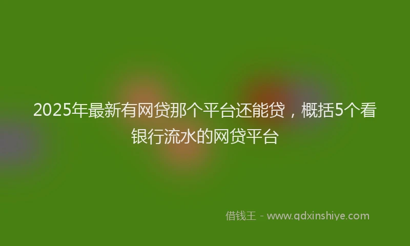 2025年最新有网贷那个平台还能贷，概括5个看银行流水的网贷平台