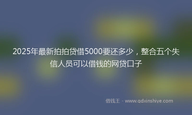 2025年最新拍拍贷借5000要还多少，整合五个失信人员可以借钱的网贷口子