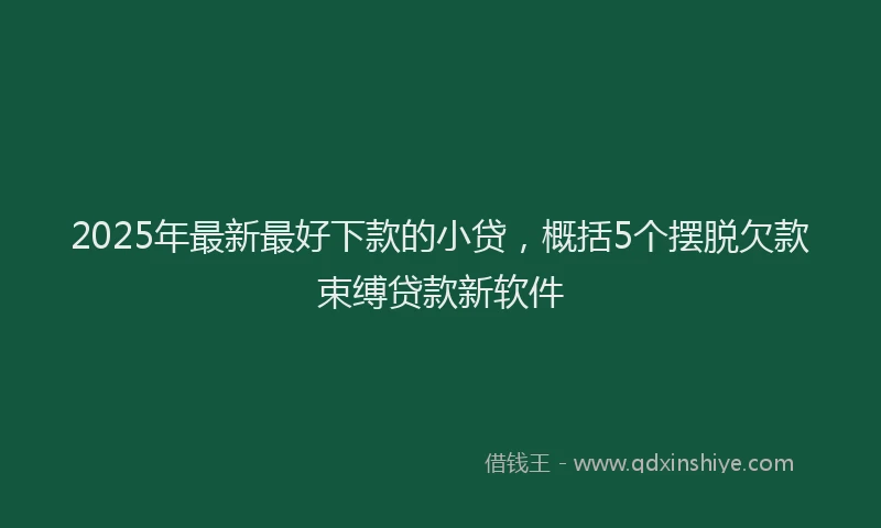 2025年最新最好下款的小贷，概括5个摆脱欠款束缚贷款新软件