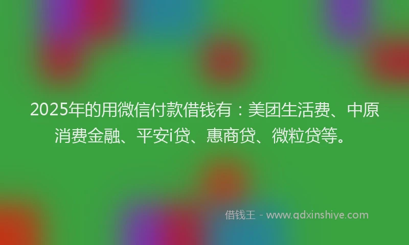 2025年的用微信付款借钱有：美团生活费、中原消费金融、平安i贷、惠商贷、微粒贷等。