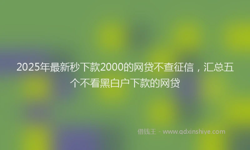 2025年最新秒下款2000的网贷不查征信，汇总五个不看黑白户下款的网贷