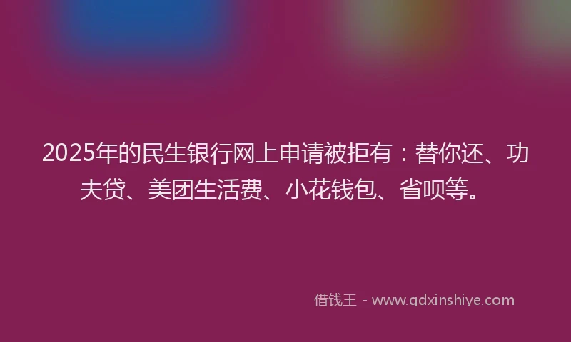 2025年的民生银行网上申请被拒有：替你还、功夫贷、美团生活费、小花钱包、省呗等。