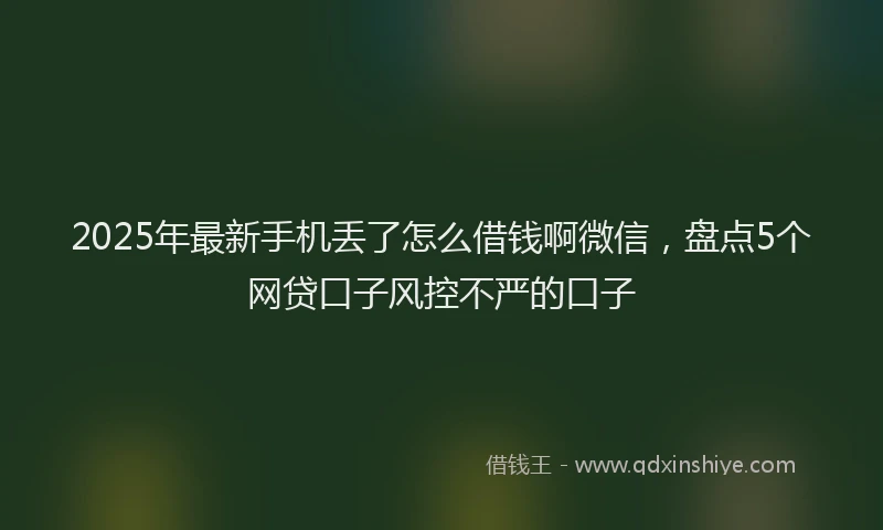 2025年最新手机丢了怎么借钱啊微信，盘点5个网贷口子风控不严的口子