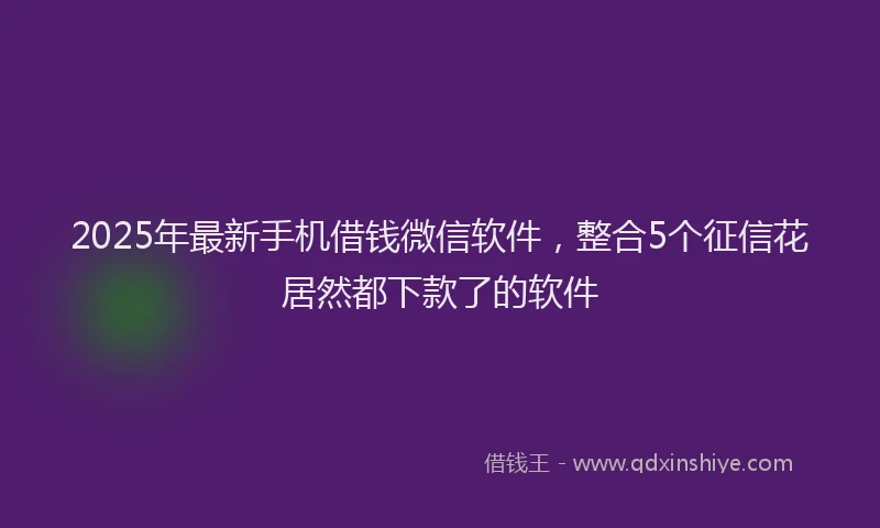 2025年最新手机借钱微信软件，整合5个征信花居然都下款了的软件