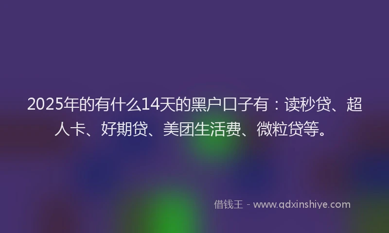 2025年的有什么14天的黑户口子有：读秒贷、超人卡、好期贷、美团生活费、微粒贷等。