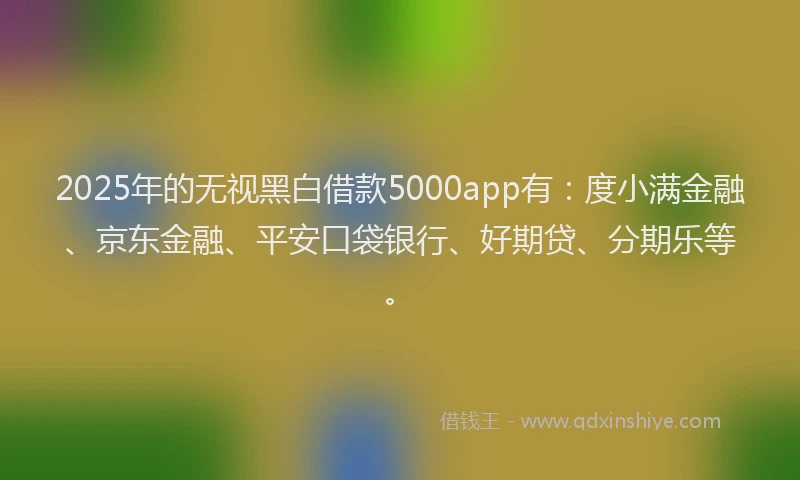 2025年的无视黑白借款5000app有：度小满金融、京东金融、平安口袋银行、好期贷、分期乐等。