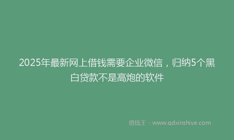 2025年最新网上借钱需要企业微信，归纳5个黑白贷款不是高炮的软件