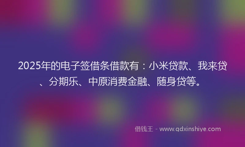 2025年的电子签借条借款有：小米贷款、我来贷、分期乐、中原消费金融、随身贷等。