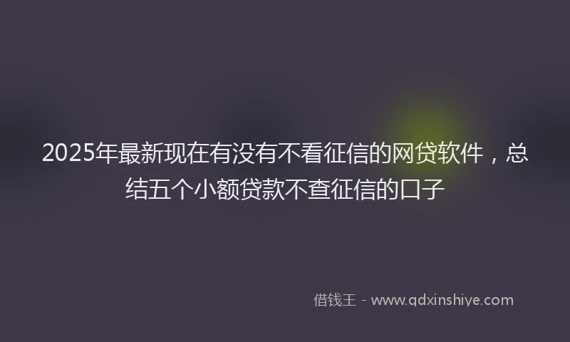 2025年最新现在有没有不看征信的网贷软件，总结五个小额贷款不查征信的口子