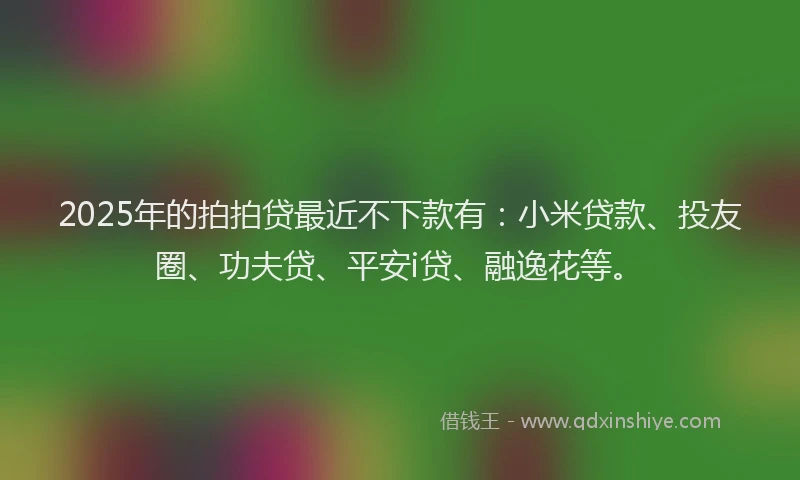2025年的拍拍贷最近不下款有：小米贷款、投友圈、功夫贷、平安i贷、融逸花等。