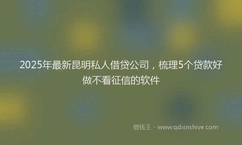 2025年最新昆明私人借贷公司，梳理5个贷款好做不看征信的软件